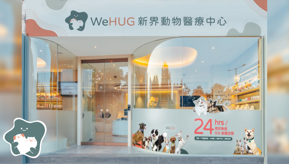 圖片 WeHUG 新界動物醫療中心 基本貓貓健康檢查