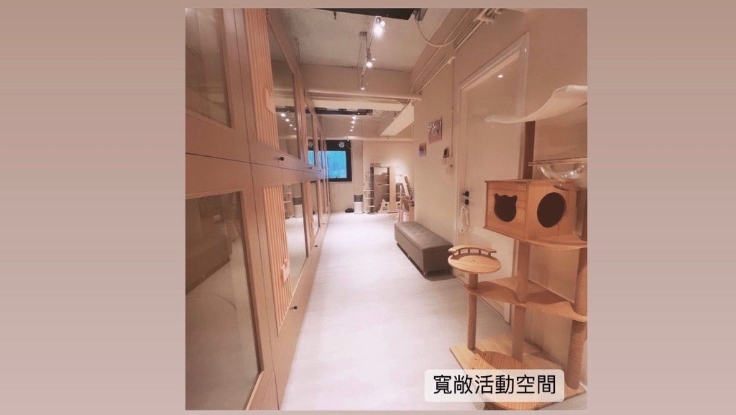 圖片 Catstaytion Hotel 貓寵酒店 貓酒店服務 | 屯門區