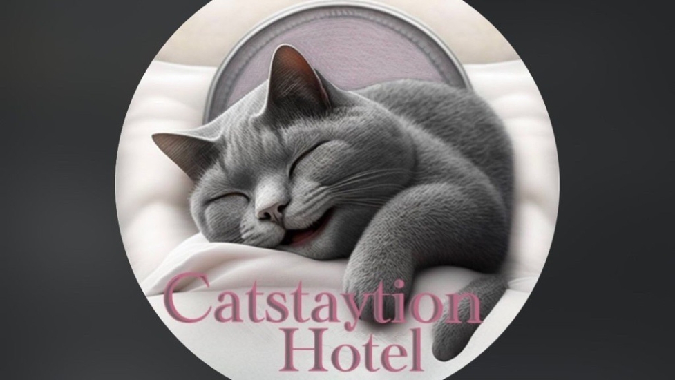 圖片 Catstaytion Hotel 貓寵酒店 貓酒店服務 | 屯門區