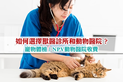 如何選擇獸醫診所和動物醫院-寵物體檢-NPV動物醫院收費